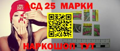 стаф Сланцы