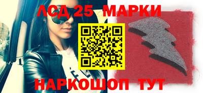 стаф Сланцы