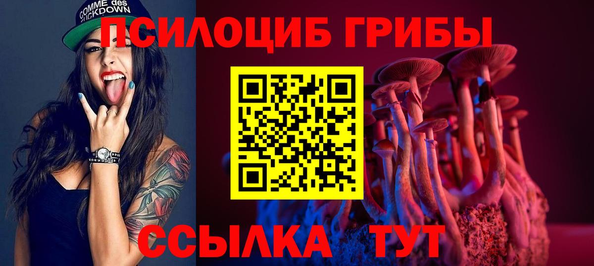Псилоцибиновые грибы MAGIC MUSHROOMS  Вход с VPN  Кондопога 